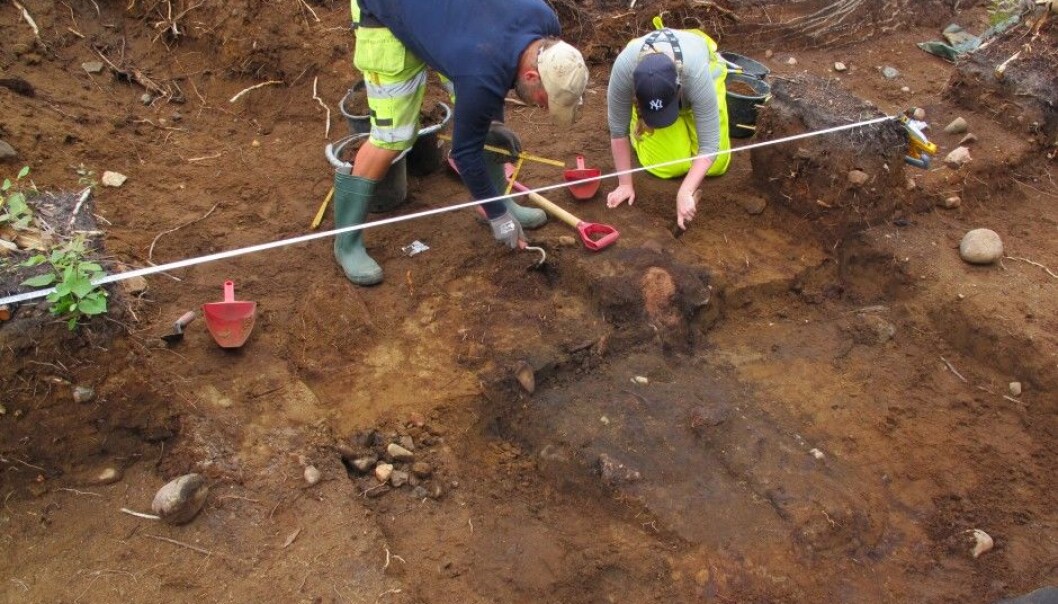 Archaeologist as they commence digging at the grave site. They have delayed the delicate removal of the contents until now. The precision work is starting in a laboratory at the end of January or beginning of February. (Photo: Museum of Cultural History in Oslo) Archaeologist as they commence digging at the grave site. They have delayed the delicate removal of the contents until now. The precision work is starting in a laboratory at the end of January or beginning of February. (Photo: Museum of Cultural History in Oslo)