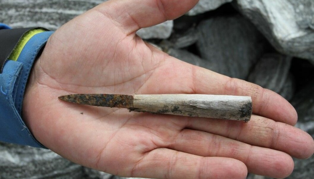 A small knife with a wooden handle, probably from the Iron Age, was one of the treasures found by archaeologists at the glacier Lendbreen in Oppland County, Norway during the 2014 summer season. (Photo: Oppland County)