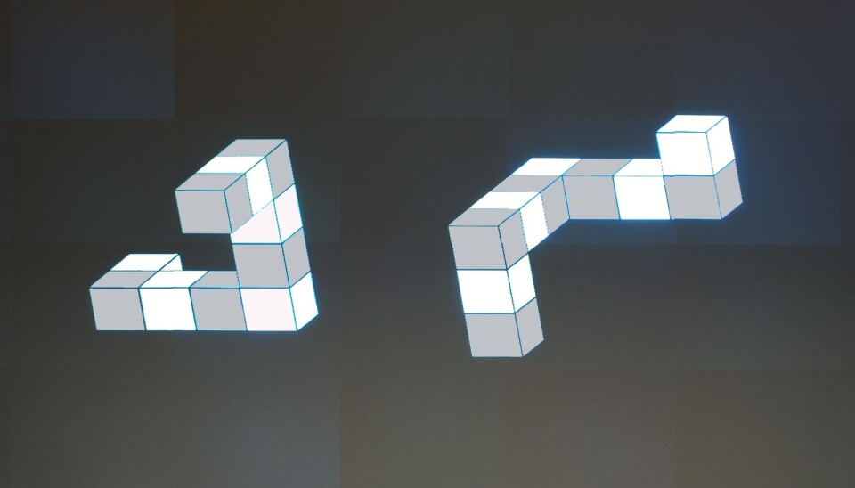 Women and men can interpret these images differently. Is the figure on the right different from the one on the left? Or is it just a rotation? (Photo: Bernt Ivar Olsen)