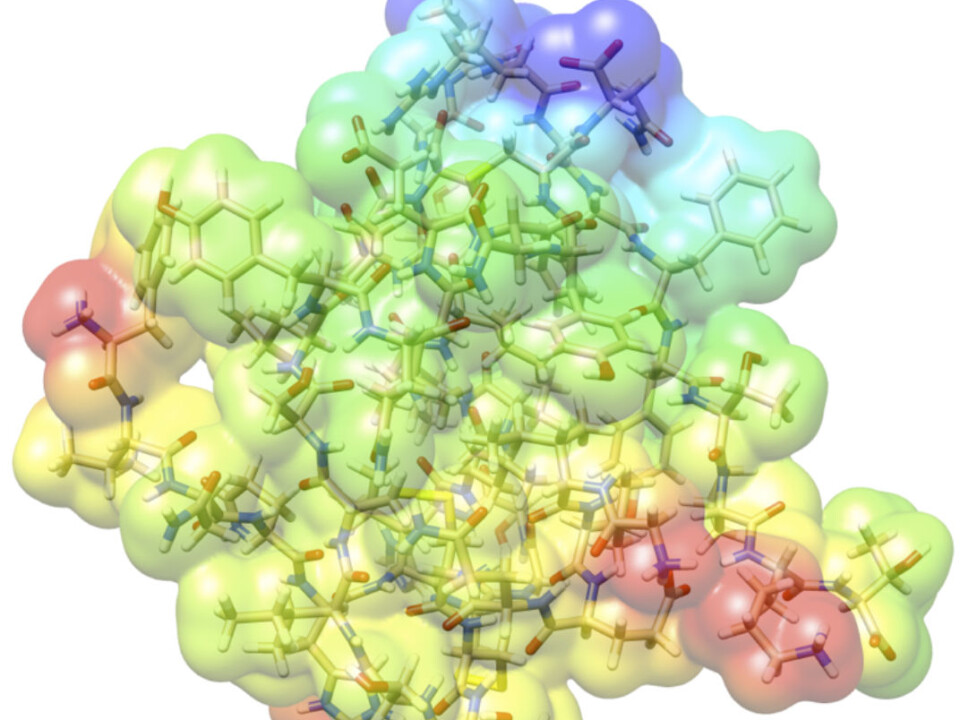 Working with Aarhus University, Simen Reine has calculated the tensions between the electrons and atoms of an insulin molecule. An insulin molecule consists of 782 atoms and 3,500 electrons. (Illustration: Simen Reine-UiO)