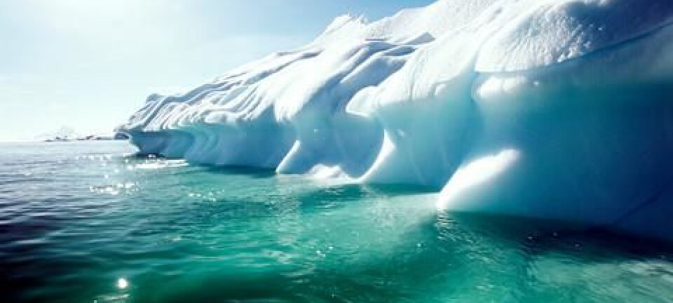 Ecosystem clash imminent as Arctic warming continues