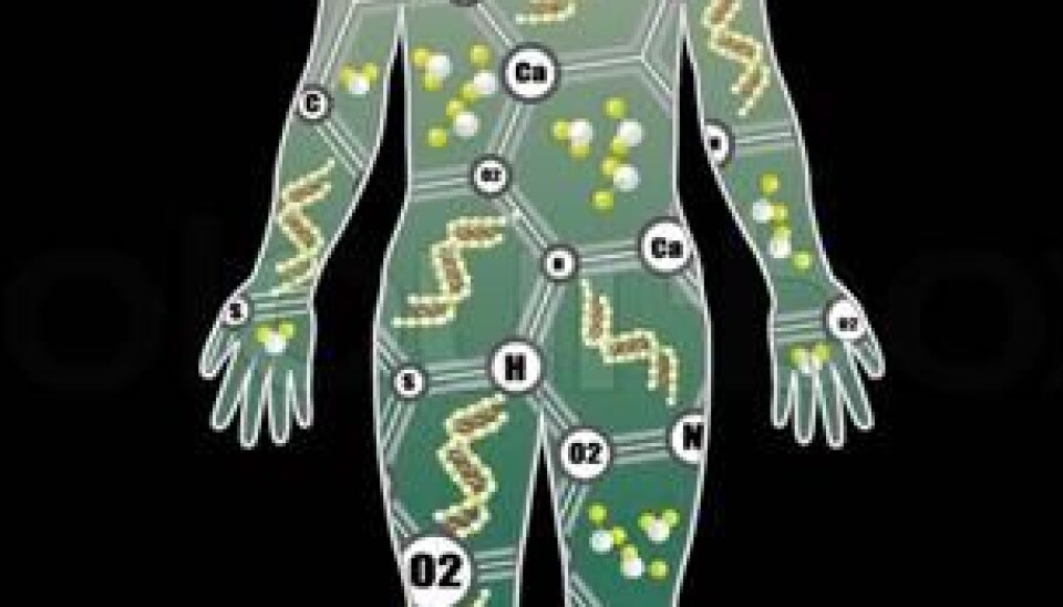 Something goes wrong with the transcription from DNA to RNA in cancer cells. There is either too much transcription, which means that far too many RNA, and subsequently proteins of a specific type are formed, or the composition of base pairs in RNA is wrong. Researchers can gain a better understanding of the mechanisms that lead to cancer by comparing RNA in diseased and healthy tissue. (Photo: Colourbox)