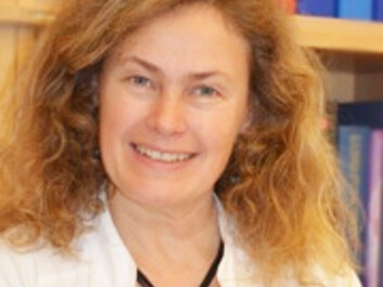 Professor Cecilie Svanes, Centre for International Health, University of Bergen. (Photo: UiB) Professor Cecilie Svanes, Centre for International Health, University of Bergen. (Photo: UiB)
