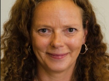 Mette I. Snertingdal (Photo: Fafo) Mette I. Snertingdal (Photo: Fafo)