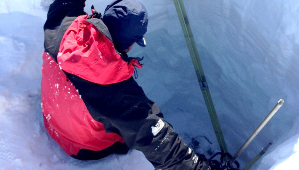 Researchers bore tunnels in the ice to examine it. Here, from the glacier Storbreen in 2013, before the hot summer the following year. (Photo: NTNU SPARC project)