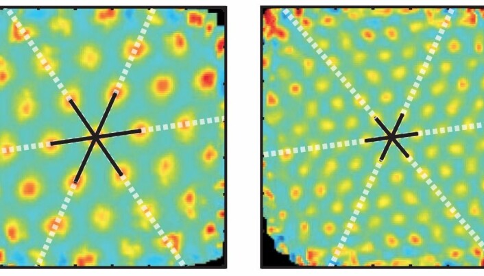 A new twist in understanding the brain’s maps