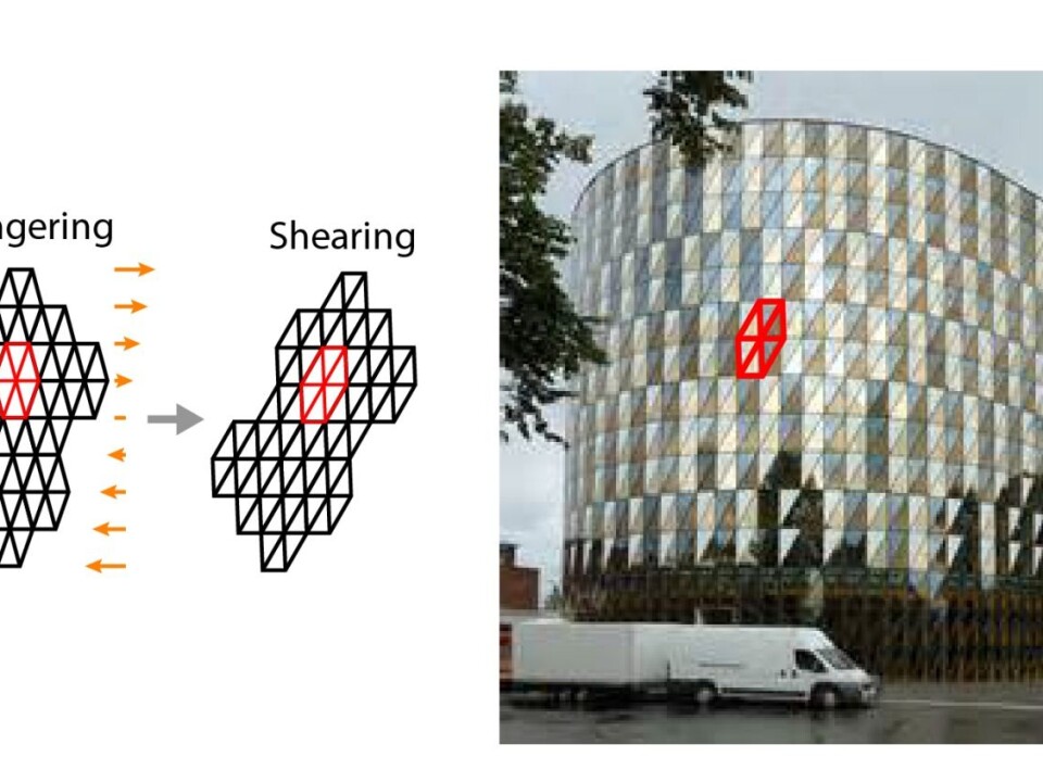 Even the grid pattern in the Nobel building in Stockholm shows shearing! (Illustration: Kavli Institute for Systems Neuroscience)