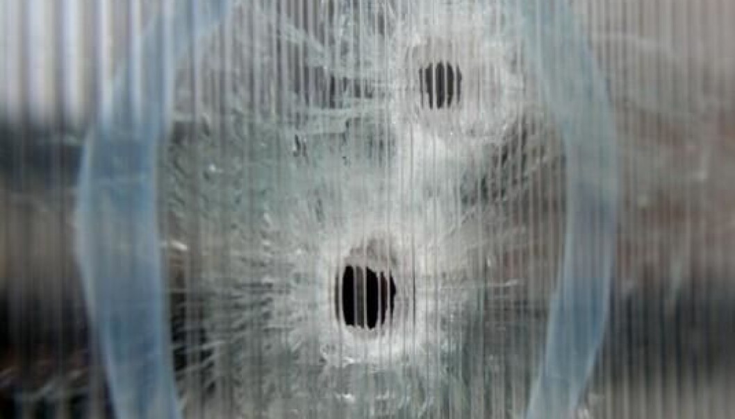 Violent extremism is everywhere, as Scandinavians and the world were reminded last week. The photo shows bullet holes after the attack on Krudttønden in Copenhagen. (Photo: Britta Pedersen, NTB scanpix) Violent extremism is everywhere, as Scandinavians and the world were reminded last week. The photo shows bullet holes after the attack on Krudttønden in Copenhagen. (Photo: Britta Pedersen, NTB scanpix)