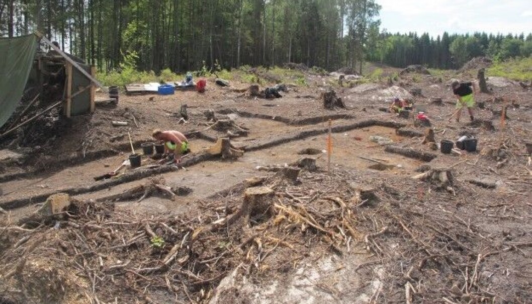 Archaeologists work painstakingly at separating ancient, soft and vulnerable skeletal remains from rock-hard soil. (Photo: Natural History Museum, UiO) Archaeologists work painstakingly at separating ancient, soft and vulnerable skeletal remains from rock-hard soil. (Photo: Natural History Museum, UiO)