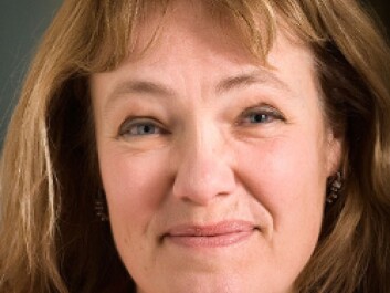 Susanne Søholt will lead a project on the role of municipalities in preventing violent extremism. (Photo: NIBR) Susanne Søholt will lead a project on the role of municipalities in preventing violent extremism. (Photo: NIBR)