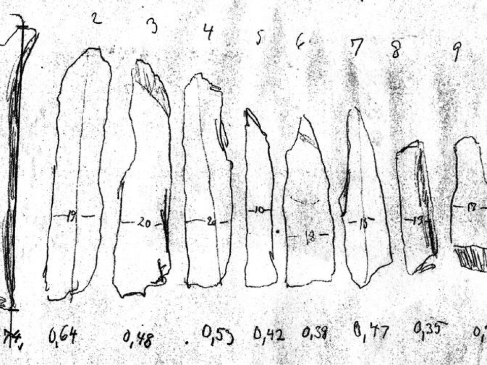 The find from Høgberget.