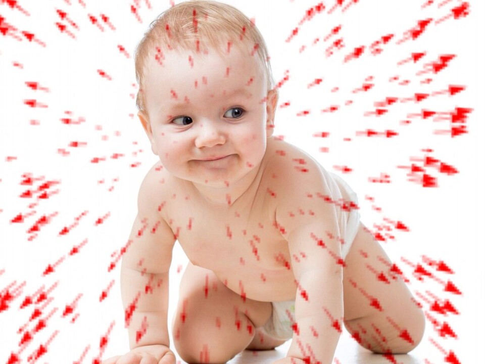 Researchers at the Department of Psychology have tested hundreds of babies over the past few years. They are now positive that the brain’s development, and development of motor skills and sensing go hand in hand, rather than independently. (Photo: Department of Psychology, NTNU)