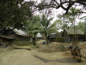 In this village in Bangladesh electricity was introduced for the first time. Even a single light bulb greatly simplified the life of families. (Photo: Hanne Cecilie Geirbo) In this village in Bangladesh electricity was introduced for the first time. Even a single light bulb greatly simplified the life of families. (Photo: Hanne Cecilie Geirbo)
