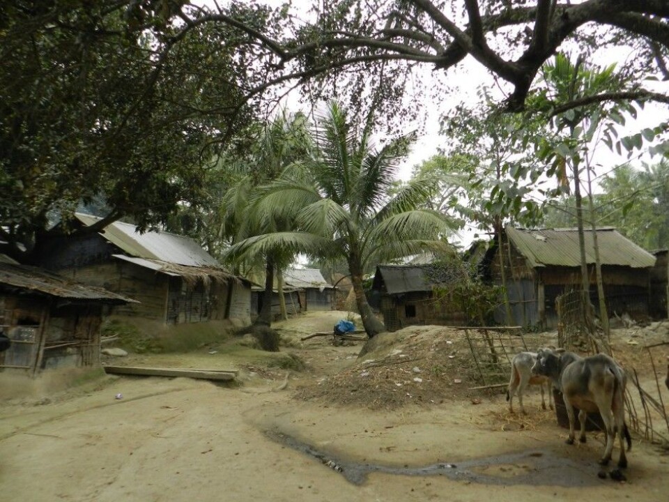 In this village in Bangladesh electricity was introduced for the first time. Even a single light bulb greatly simplified the life of families. (Photo: Hanne Cecilie Geirbo)