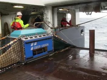 The trawl sends fish through the box, where they are photographed. Behind the box is trawl where the catch will be collected, but the bag can also be left open so the fish swim straight through. (Photo: Lasse Biørnstad)
