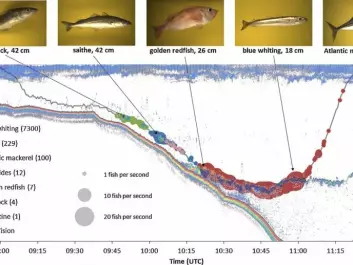 The people behind Deep Vision envisage it being used to sample fish at different ocean depths. This graphic shows sonar images, the route that was trawled, and what kind of fish researchers found at various depths using the camera system. (Image: Shale Rosen)
