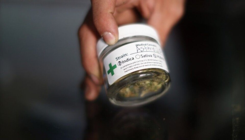 Starting with Oregon in 1973, individual states began to liberalize marijuana laws through decriminalization and legalization of recreational marijuana.