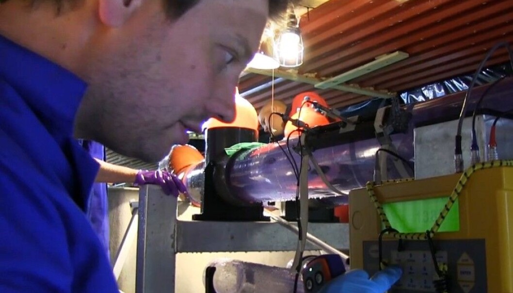 Harald Takle preparing a stress test for salmon in Nofima's research station. (Photo: From video by Sven Martin Jørgensen / Nofima) Harald Takle preparing a stress test for salmon in Nofima's research station. (Photo: From video by Sven Martin Jørgensen / Nofima)
