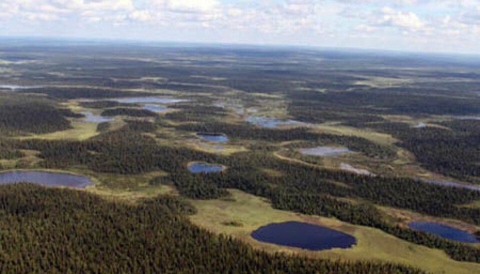 Panorama from Russia’s Imadra-Varzuga Greenstone Belt, where some of the FAR DEEP project drilling took place. (Photo: Victor Melezhik)