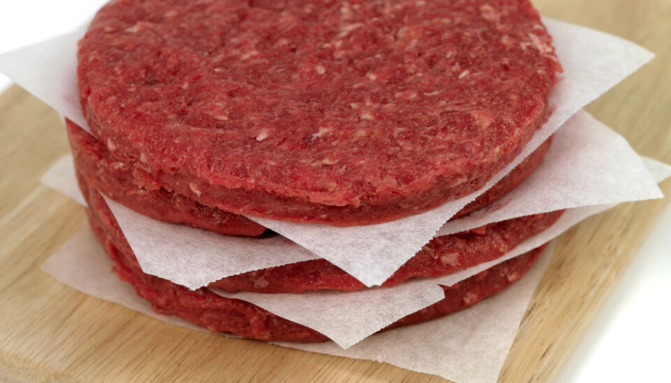 E. coli bacteria in food may cause grave illness. (Photo: Colourbox)