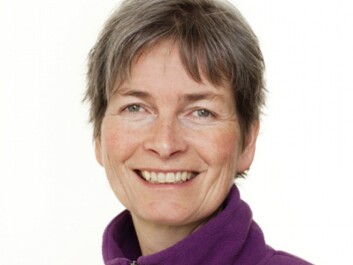 Cecilie Mejdell thinks that dogs can tackle having two homes better than cats. (Photo: Norwegian Veterinary Institute)
Cecilie Mejdell thinks that dogs can tackle having two homes better than cats. (Photo: Norwegian Veterinary Institute)