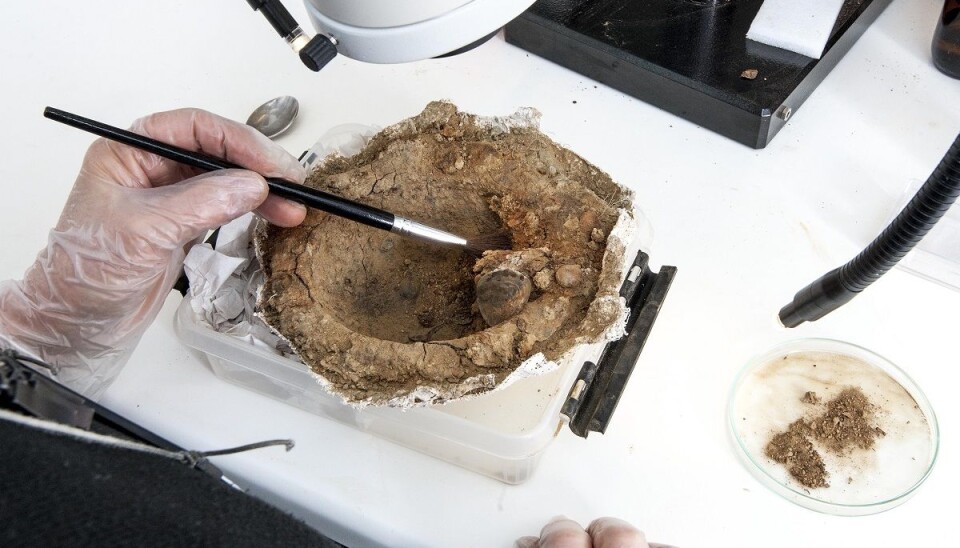 This protective iron boss from a shield shows traces of a possible blow. (Photo: Åge Hojem, NTNU University Museum)
