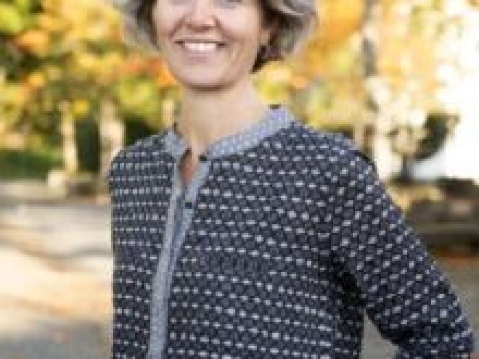 Gunhild Setten is a Professor of Geography at NTNU and heads up the ClimRes research project. (Photo: NTNU)