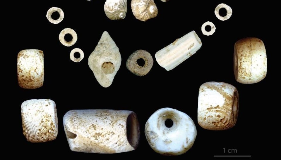 NOT ON MY LAND: Unlike South Europeans, the people of North Europe stuck to their old ways of life for several hundred years longer after the arrival of agriculture in Europe about 8,000 years ago. This is reflected in the refusal to let go of traditional clothing and ornament practices. The material in this picture belongs to Le Tai, Toulouse University and Essenbach-Ammerbreite, Archäologische Staatssammlung München. (Photo: Solange Rigaud)