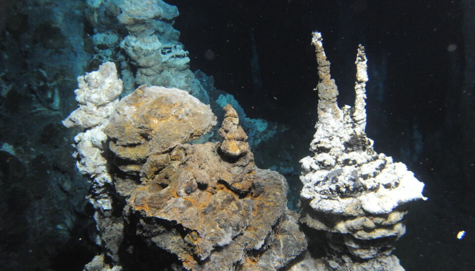 Animals found around underworld volcanoes have evolved to live in extreme conditions. These properties may be put to industrial use, researchers say. (Photo: Centre for Geobiology)