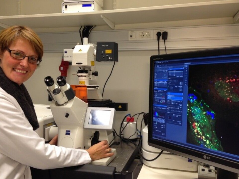 Camilla Raiborg is head of a research group at the CCB. (Photo: Terje Heiestad)