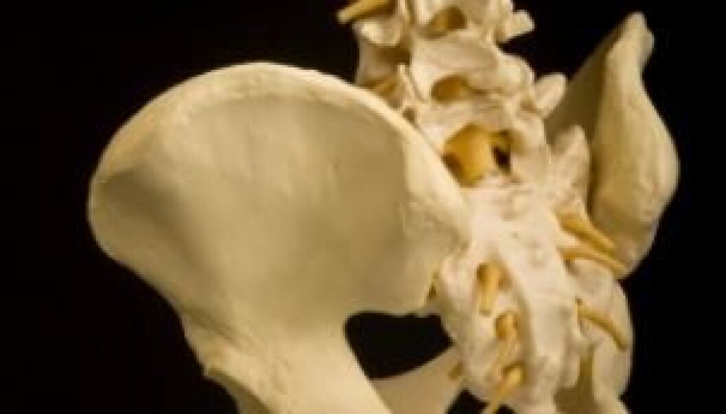 We're not there yet, but in the future scientists might be able to grow new hips (Photo: iStockphoto) We're not there yet, but in the future scientists might be able to grow new hips (Photo: iStockphoto)