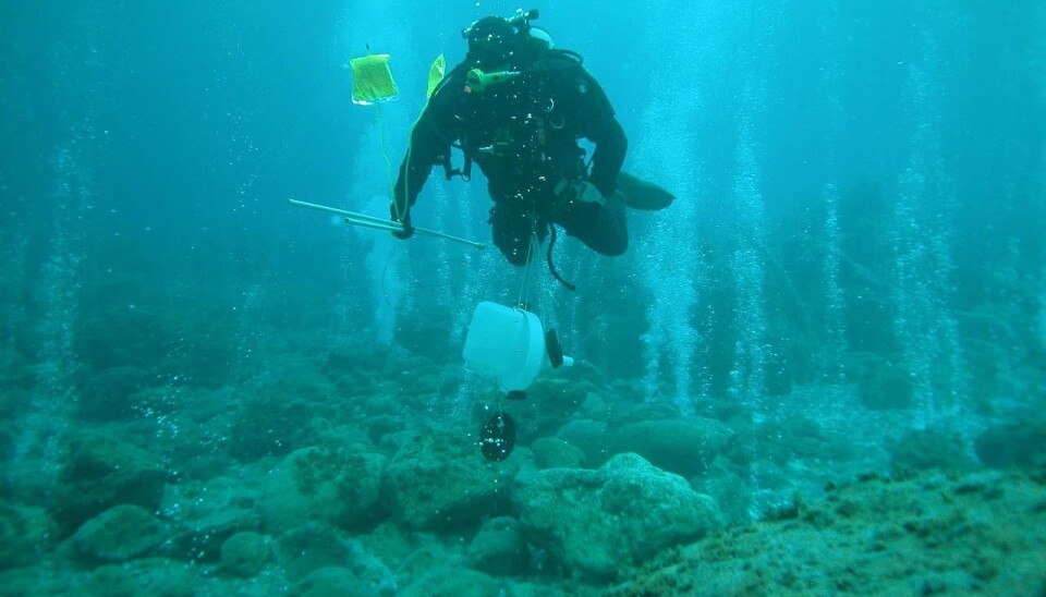 Diver studying ocean acidification at CO2 vents (Photo: G. Caramana)