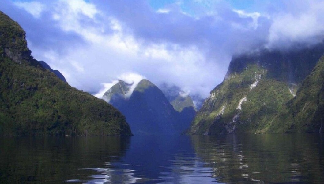Steep fjord slopes and a deep seabed ensure that organic substances get buried in sediments before chemical reactions can free their carbon. This makes fjords fantastic natural helpers in climate change mitigation. Doubtful Sound in New Zealand’s Fiordland, pictured here, is one of the fjords round the world included in a study published by Nature Geoscience. (Photo: Candida Savage) Steep fjord slopes and a deep seabed ensure that organic substances get buried in sediments before chemical reactions can free their carbon. This makes fjords fantastic natural helpers in climate change mitigation. Doubtful Sound in New Zealand’s Fiordland, pictured here, is one of the fjords round the world included in a study published by Nature Geoscience. (Photo: Candida Savage)