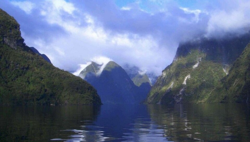 Steep fjord slopes and a deep seabed ensure that organic substances get buried in sediments before chemical reactions can free their carbon. This makes fjords fantastic natural helpers in climate change mitigation. Doubtful Sound in New Zealand’s Fiordland, pictured here, is one of the fjords round the world included in a study published by Nature Geoscience. (Photo: Candida Savage)