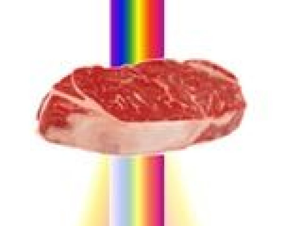 When x-rays go through an object, some of the radiations will be absorbed, some will be transmitted, and the last part will be scattered in different positions because of the interactions with atoms in the object. This reveals information about the structure of the object, for example connective tissues structure and muscle fibres. (Illustration: Sintef)