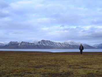 Bjerknes in the tranquillity of the plain at Ingebrigtsenbukta. Bjerknes in the tranquillity of the plain at Ingebrigtsenbukta.