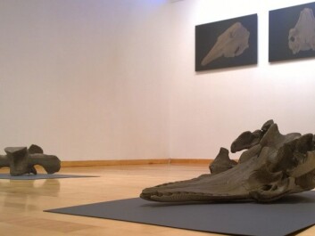The exhibition at Galleri Svalbard gave visitors a new and unexpected glimpse of Norwegian whaling history from a place that few residents have even visited. (Photo: Trond Kasper Mikkelsen) The exhibition at Galleri Svalbard gave visitors a new and unexpected glimpse of Norwegian whaling history from a place that few residents have even visited. (Photo: Trond Kasper Mikkelsen)