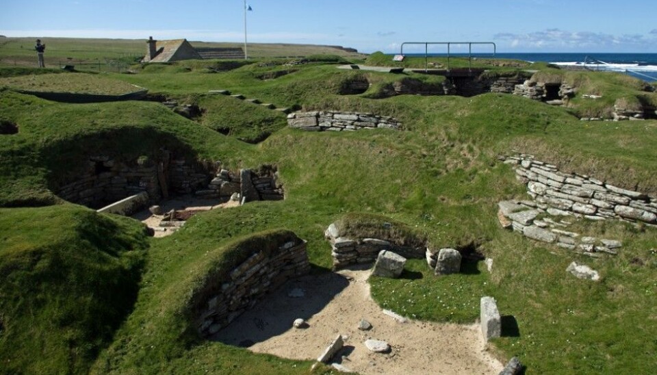This is how the populace of the Orkney Islands lived 5,000 years ago. The Stone Age settlement Skara Brae is preserved so well that it is referred to as “Scotland’s Pompeii”. Recently it was discovered that the Orkney Islanders still have a surprising amount of DNA from the people who dwelled there long before the Vikings arrived. (Photo: Georg Mathisen)