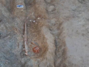 The find in Skaun was mapped using photogrammetry. (Photo: NTNU University Museum) The find in Skaun was mapped using photogrammetry. (Photo: NTNU University Museum)