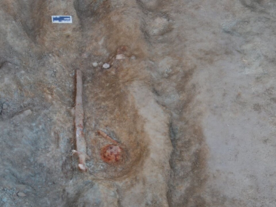The find in Skaun was mapped using photogrammetry. (Photo: NTNU University Museum)