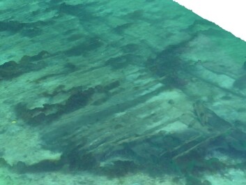 These photos of De Grawe Adler wreck were taken without considering the possibility that they one day would be used to make a 3D model. (Photo: NTNU University Museum) These photos of De Grawe Adler wreck were taken without considering the possibility that they one day would be used to make a 3D model. (Photo: NTNU University Museum)