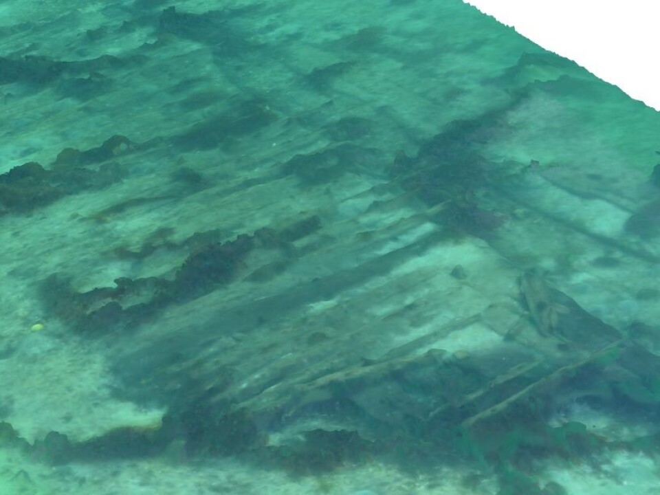 These photos of De Grawe Adler wreck were taken without considering the possibility that they one day would be used to make a 3D model. (Photo: NTNU University Museum)