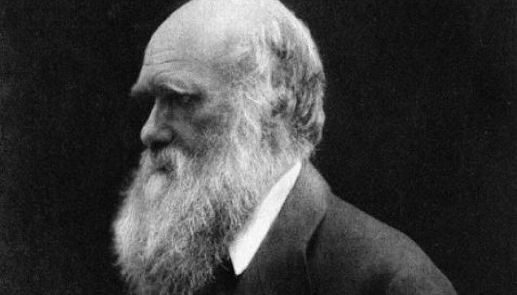 Darwin in the last years of his life. A Norwegian who was living on the Galápagos Islands when Darwin visited the archipelago as a young man may have inspired him. (Photo: Unknown/Public Domain) Darwin in the last years of his life. A Norwegian who was living on the Galápagos Islands when Darwin visited the archipelago as a young man may have inspired him. (Photo: Unknown/Public Domain)
