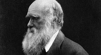 The Norwegian who inspired Darwin
