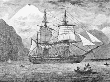 HMS Beagle travelling through the Strait of Magellan, as imagined by an artist. (Photo: R. T. Pritchett) HMS Beagle travelling through the Strait of Magellan, as imagined by an artist. (Photo: R. T. Pritchett)