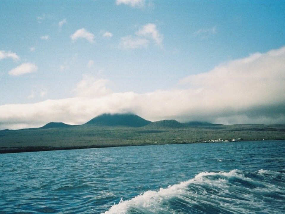 Floreana Island in the Galápagos. Lawson received Darwin on this island in 1835. (Photo: Muggmag)
