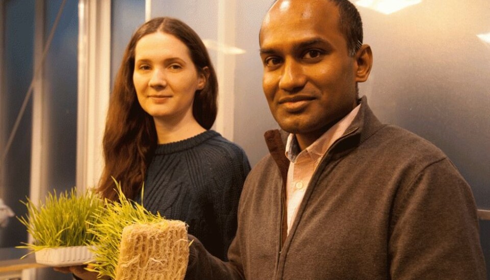 Technician Liubov Vasenko and PhD candidate Lelum Manamperuma. (Photo: Mette Risbråthe)