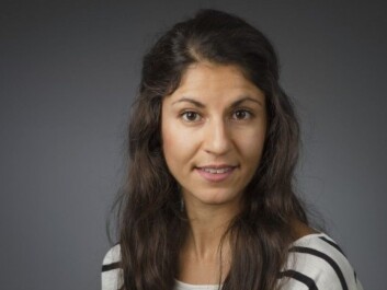 Abrak Saati found that democracy has made fairly steady headway in 24 of the 48 countries she investigated. In 11 countries progress was made initially but followed by major setbacks. In ten countries democratic decline dominated from the outset. (Photo: Mattias Petterson/Umeå University) Abrak Saati found that democracy has made fairly steady headway in 24 of the 48 countries she investigated. In 11 countries progress was made initially but followed by major setbacks. In ten countries democratic decline dominated from the outset. (Photo: Mattias Petterson/Umeå University)