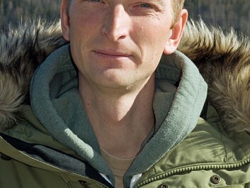 One strategy is to fence in the young forest, but Simen Pedersen is afraid it will be too expensive. (Photo: Georg Mathisen) One strategy is to fence in the young forest, but Simen Pedersen is afraid it will be too expensive. (Photo: Georg Mathisen)