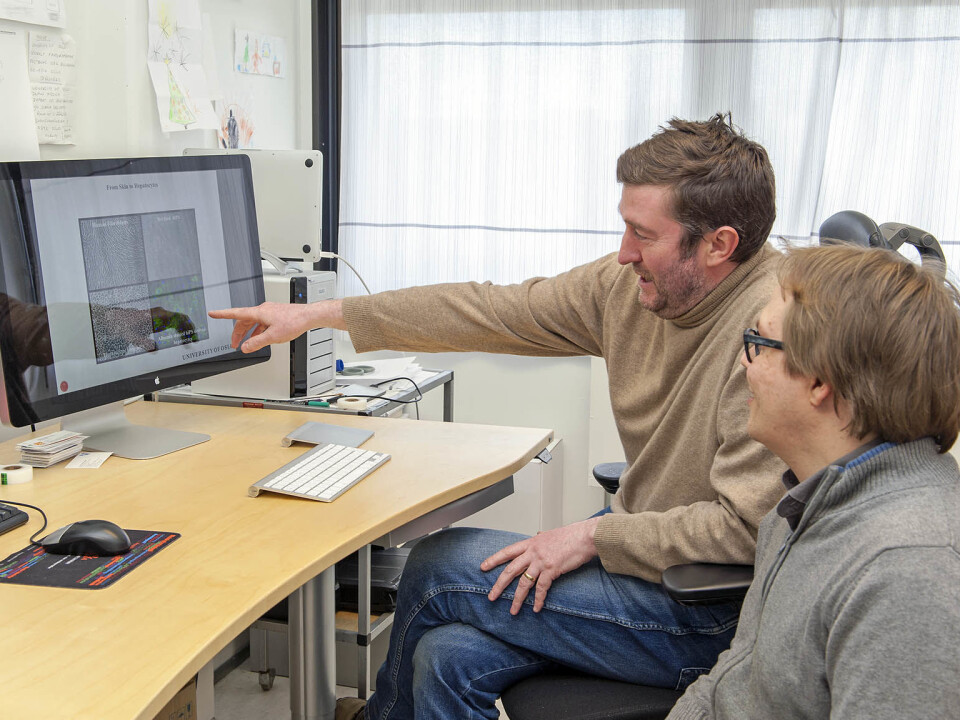 Gareth Sullivan (left) and Rick Siller says the new method of synthesizing liver cells will increase our understanding of adverse drug reactions and liver disease. (Photo: Gunnar F. Lothe/UiO)